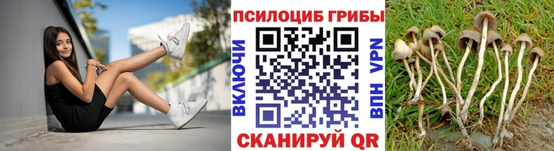 Псилоцибиновые грибы прущие грибы  Бакал 